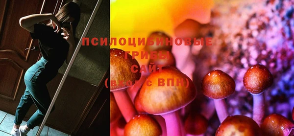 мет Гусиноозёрск