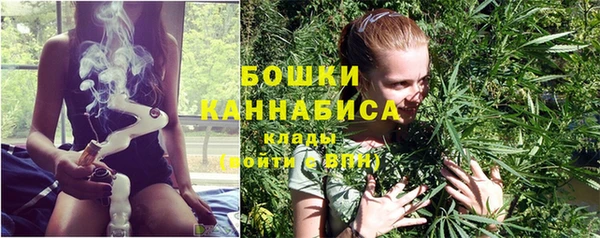 мет Гусиноозёрск
