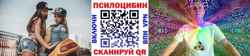 дарк нет официальный сайт  купить   Олёкминск  Псилоцибиновые грибы прущие грибы 